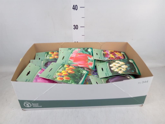 <h4>Flowerbulbs, corns or tubers   ...</h4>