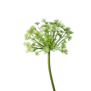 Artificial flowers Queen Ann Lace 83cm