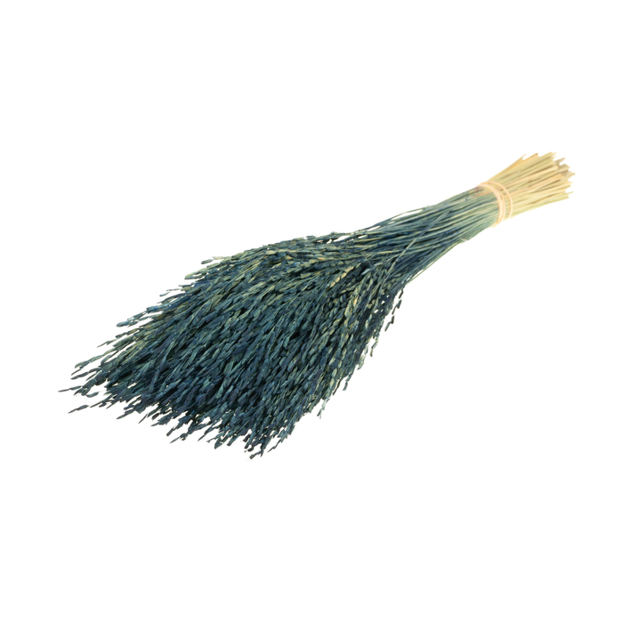 <h4>Rice Sb Dark Blue</h4>