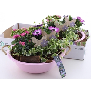 ARR TUINPLANTEN