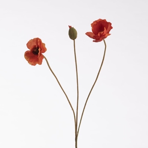 Af Poppy X3 L76cm Orange