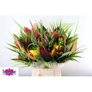 HELICONIA BOEKET