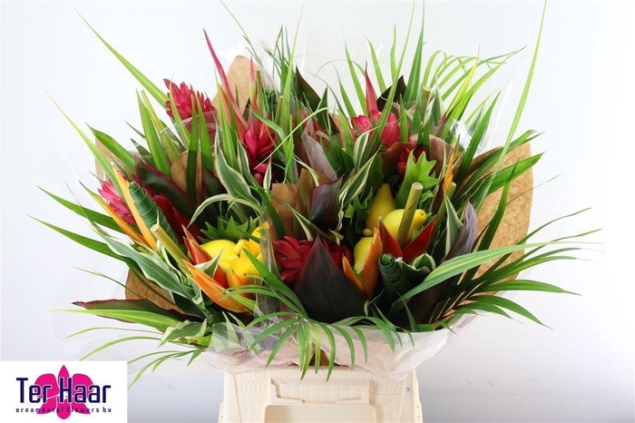 <h4>HELICONIA BOEKET</h4>