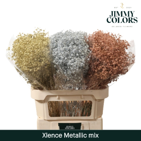 <h4>Gyps Xlence L80 Mtlc. Mix</h4>