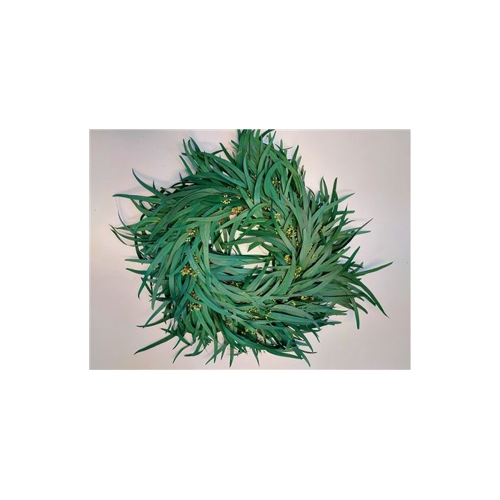 <h4>Wreath Eucalyptus Nicoly Berry D35</h4>