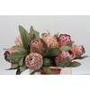 Protea Barbigera Air