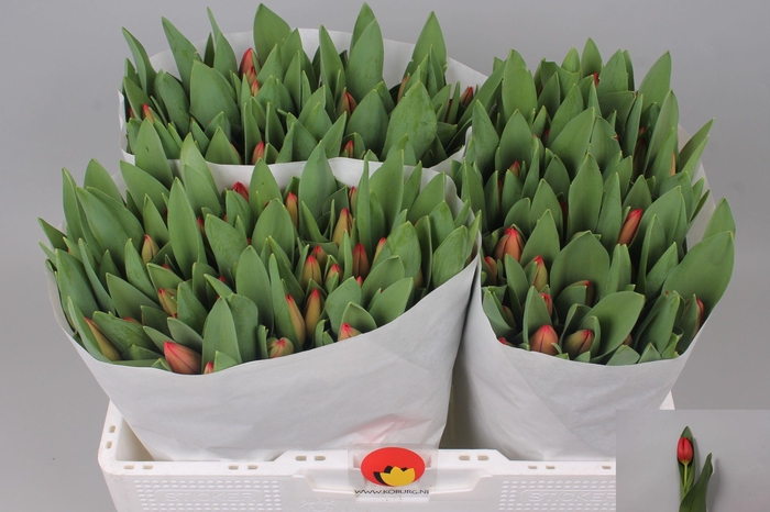 <h4>TU EN HOTSPOT</h4>