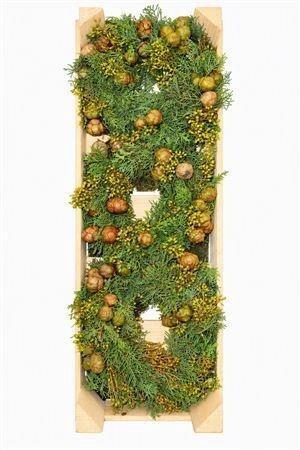 <h4>SIERFRUIT KRANS H%</h4>