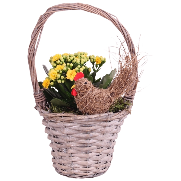 <h4>Easter Arr. Indoor Willow Handle Basket Ø15cm 1PP</h4>