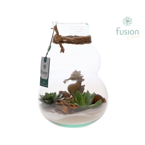 Green Bottle Olaf Medium met Maritiem arrangement