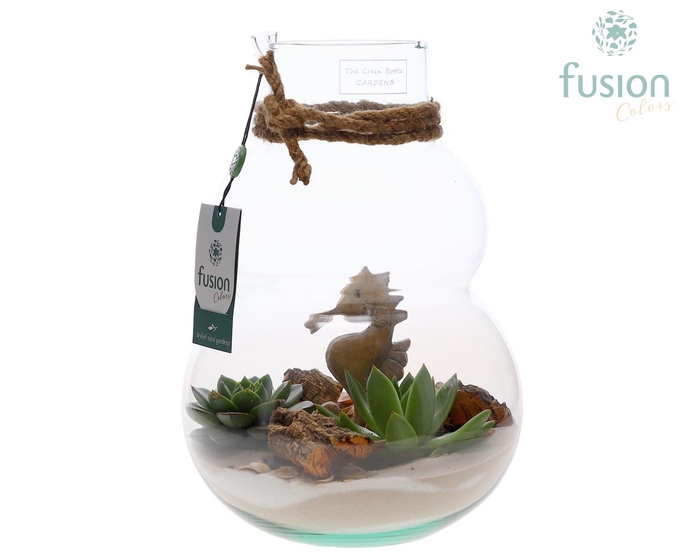 <h4>Green Bottle Olaf Medium met Maritiem arrangement</h4>