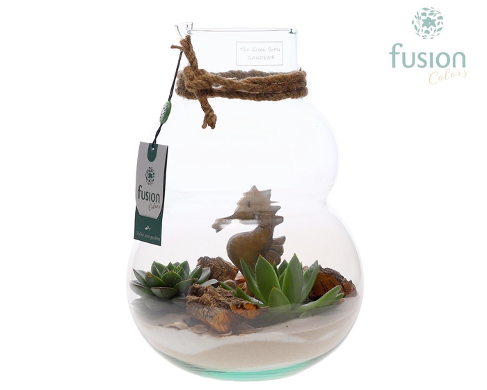 <h4>Green Bottle Olaf Medium met Maritiem arrangement</h4>