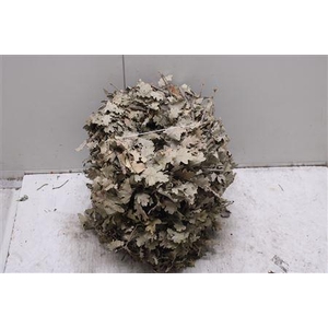 Krans Mini Eik Natuur