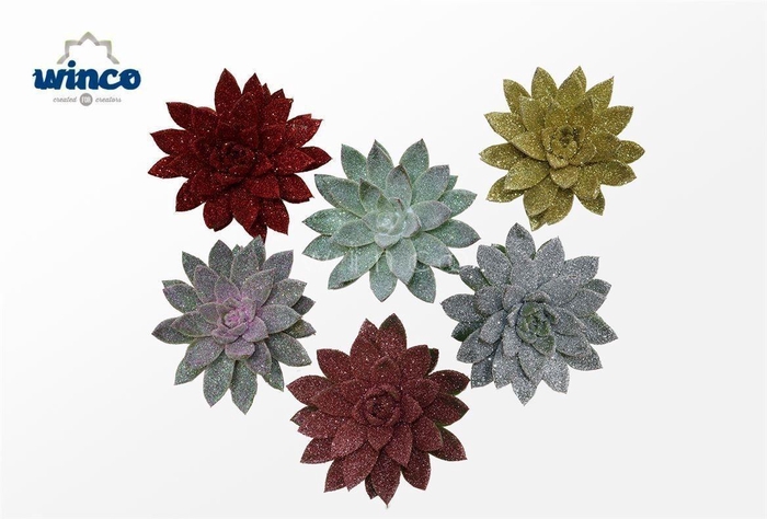 Echeveria Agavoides Glitter Mix Cutflower