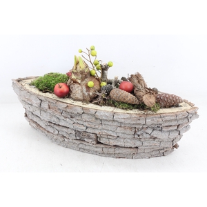 arr4 Amaryllis MB - Boomschors kano x4