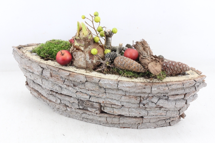 <h4>arr4 Amaryllis MB - Boomschors kano x4</h4>