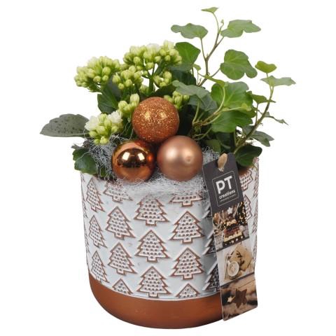 <h4>PTCHB9765 Arrangementen Kerst</h4>