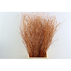 Berk 70cm Gl Koper Pbs