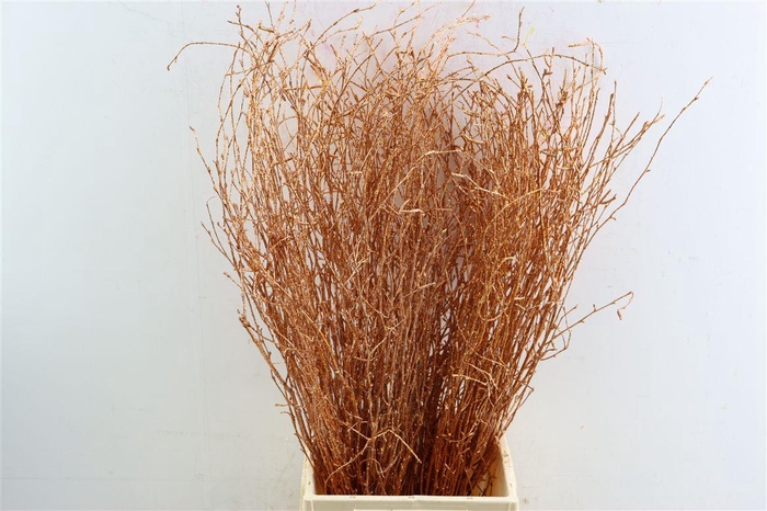 <h4>Berk 70cm Gl Koper Pbs</h4>