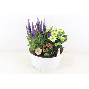 arr4 Outdoor PL - Zink ruit rond wit