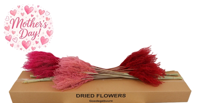 <h4>DROOGBL BEWERKT H%</h4>