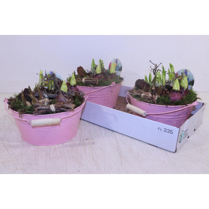 <h4>ARR BOL KNOLGEWAS</h4>