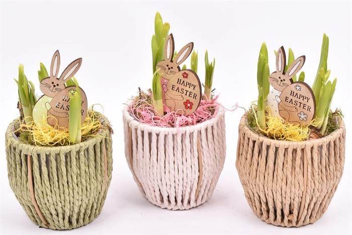 <h4>Touwmand kl.mix 10cm</h4>