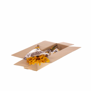 Scarlet Oak Leaf Preserved Sb Yellow