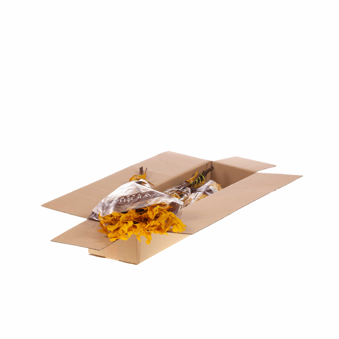 <h4>Scarlet Oak Leaf Preserved Sb Yellow</h4>