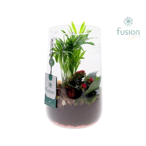 Green Bottle Deline Large Love met arrangement