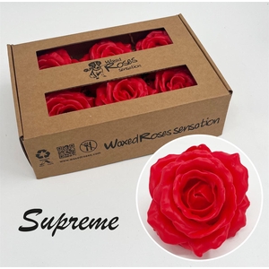 Zijde R Supreme Rood Wx