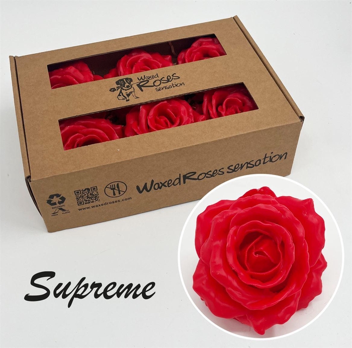 <h4>Zijde R Supreme Rood Wx</h4>