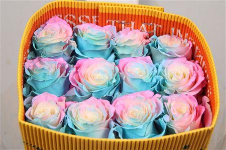 <h4>R Gr Jelly Mint Ec</h4>