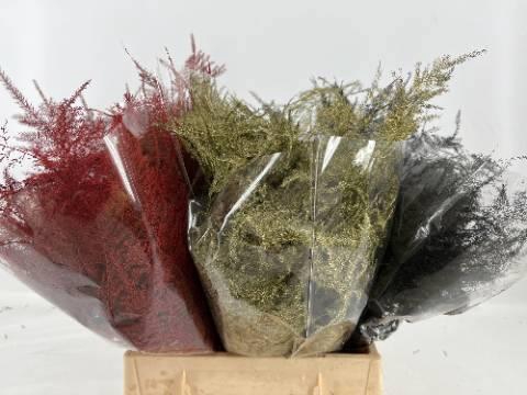 <h4>ASP OV KLB H%</h4>