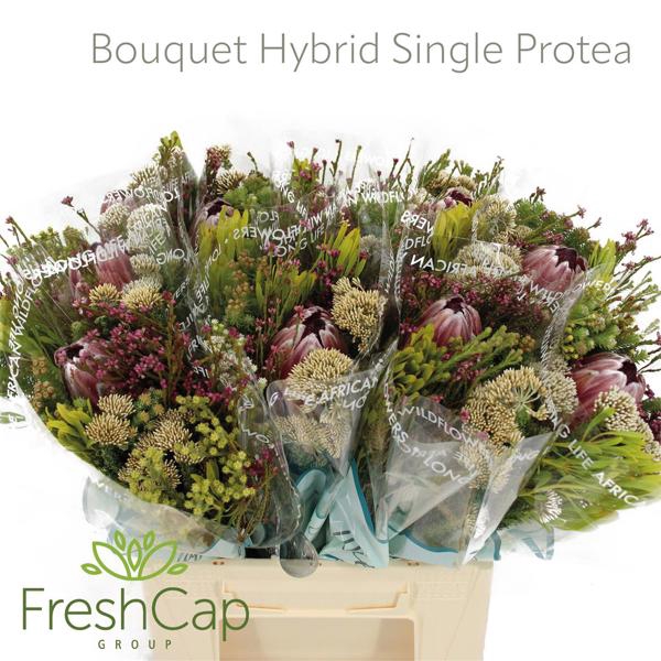 <h4>Bouquet Hybrid Single Protea</h4>