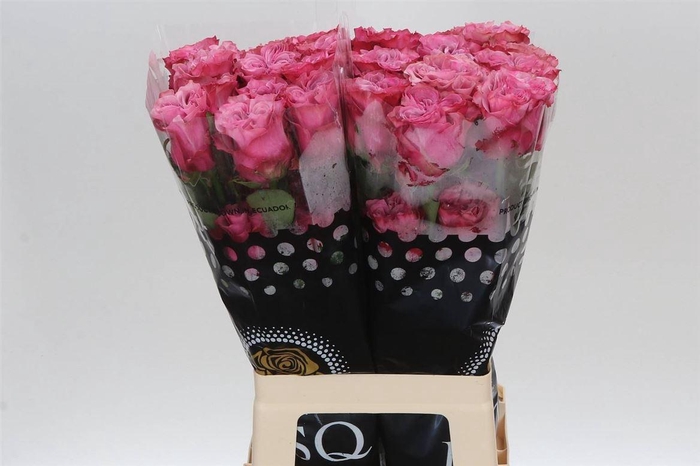 <h4>R Eq Country Blues</h4>