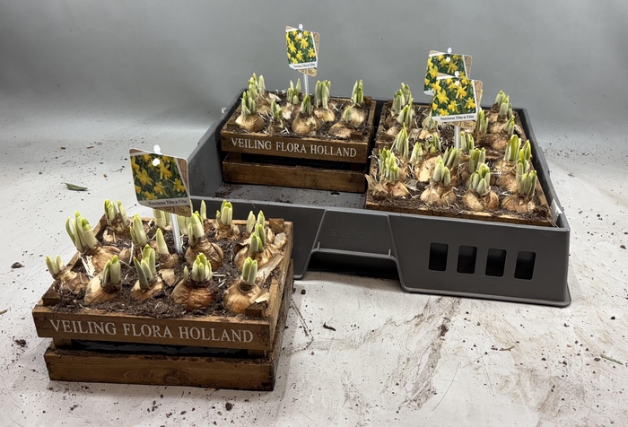 <h4>ARR N TETE A TETE</h4>