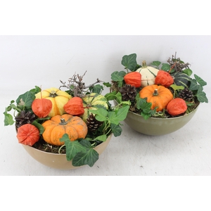 arr4 Sierfruit MB - Kunststof coupe x5
