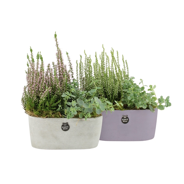 <h4>41470: Outdoor autumn arrangement</h4>