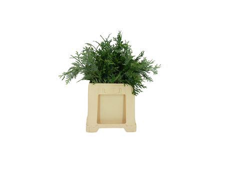 Conifeer Groen (5 Bos Per Emmer)