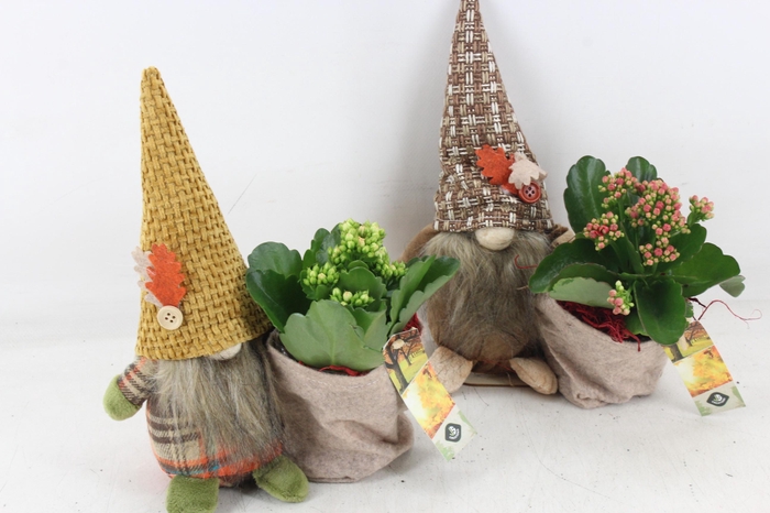 <h4>arr2 JS - Gnome kal. mix</h4>