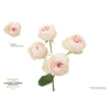 Rosa Spray Garden Emma Woodhouse