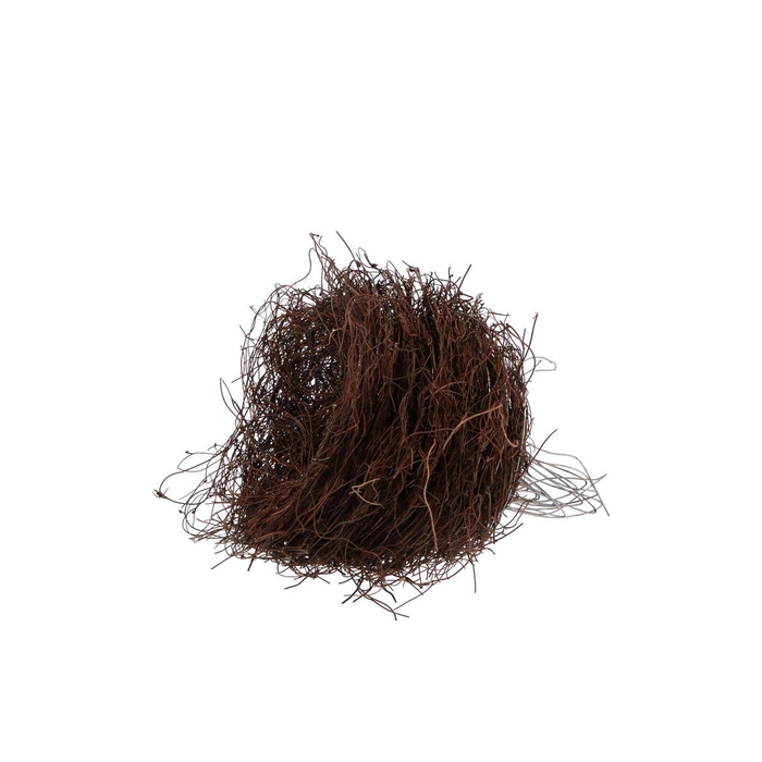 <h4>Floristry Bouquet Holder Salim 15cm Natural</h4>