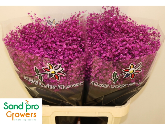 <h4>Gyps Klb H%</h4>