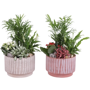 Yearround Arr. Indoor Ceramic Natural Touch NT667 Ø20cm 4PP