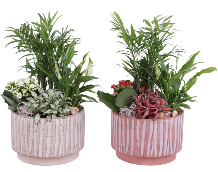 <h4>Yearround Arr. Indoor Ceramic Natural Touch NT667 Ø20cm 4PP</h4>