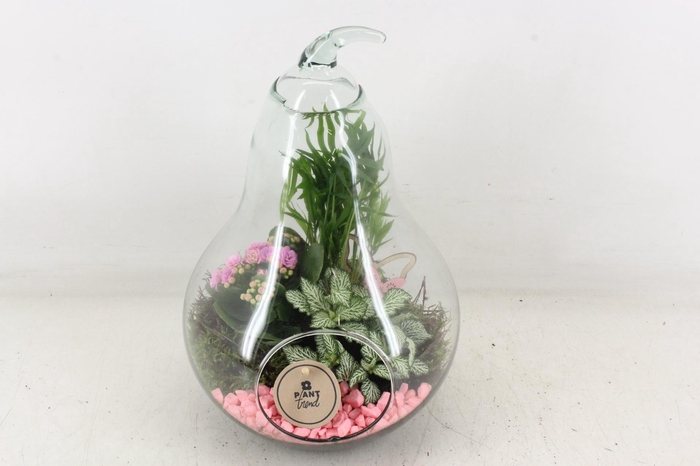 <h4>arr2 PL - Glazen peer XL - roze</h4>