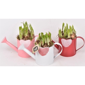 Zink gieter met hart 10cm