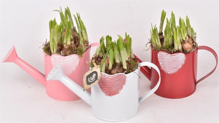 <h4>Zink gieter met hart 10cm</h4>