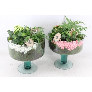 arr2 PL - Glas op Lise op voet x4 - roze/wit